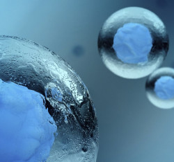 Cellule staminali e Concentrated Growth Factor (CGF) in odontoiatria: le nuove frontiere della medicina rigenerativa. 